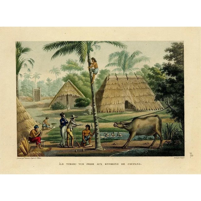 Antique print, titled: 'Ile Timor. Vue prise aux Environs de Coupang.' - ('Timor Island. View taken near Coupang')....