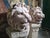 Pair of Cherub Sculptures, 1880, Terracotta For Sale - Image 12 of 16