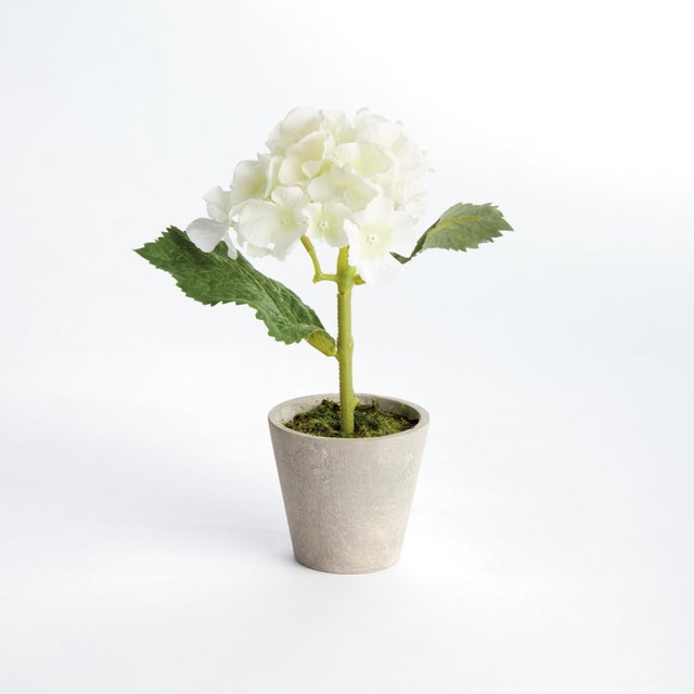 Kenneth Ludwig Chicago Mini Hydrangea Potted 8", Set Of 4 For Sale - Image 4 of 4