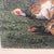 Printmaking Materials Hunting Dogs of Louis XIV "Folle Et Mitte" Chines De Louis XIV Reproduction Print For Sale - Image 7 of 7