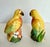 Ceramic Vintage Ceramic Tropical Bird Salt and Pepper Shakers For Sale - Image 7 of 8