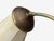 1940s Swedish Modern, Floor Lamp, Rattan, Elm, Fabric For Sale - Image 14 of 14
