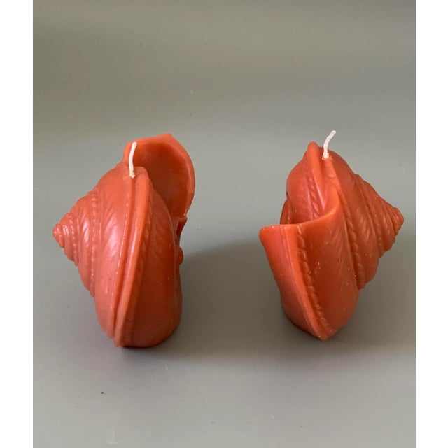 Late 20th Century Vintage Tiger Nautilus Shell Shape Candle Point à La Ligne Uncented - a Pair For Sale - Image 5 of 8
