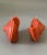 Late 20th Century Vintage Tiger Nautilus Shell Shape Candle Point à La Ligne Uncented - a Pair For Sale - Image 5 of 8