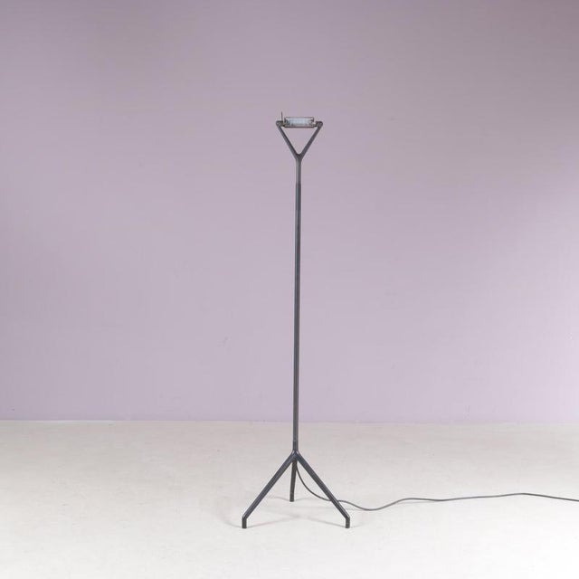 Metal Model Lola D15 Floor Lamp by Rizatto & Meda for Luceplan Italy, 1980s For Sale - Image 7 of 13