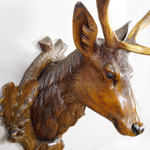 Large Naturalistic Black Forest Carved Stag Head, Ca. 1920s For Sale - Image 11 of 11