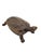 Brass Turtle Box, 1970s For Sale - Image 13 of 13