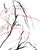 Early 21st Century Luiza Kasprzyk, Permeations 2, Oil on Canvas, 2026 For Sale - Image 5 of 5