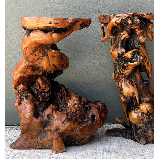 Vintage Japanese Twisted Root Pedestals - Set of Two For Sale - Image 9 of 12
