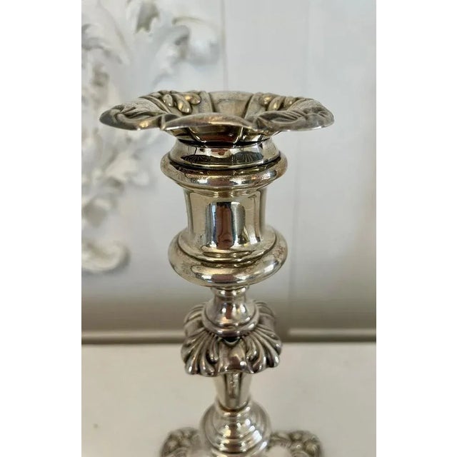 Antique George II Sheffield Plated Telescopic Candlesticks, 1800, Set of 2 For Sale - Image 3 of 8