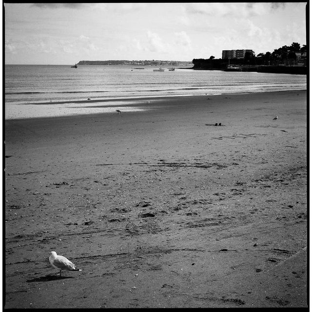 Not Yet Made - Made To Order Paul Cooklin, Paignton Beach, Edition of 50 For Sale - Image 5 of 5