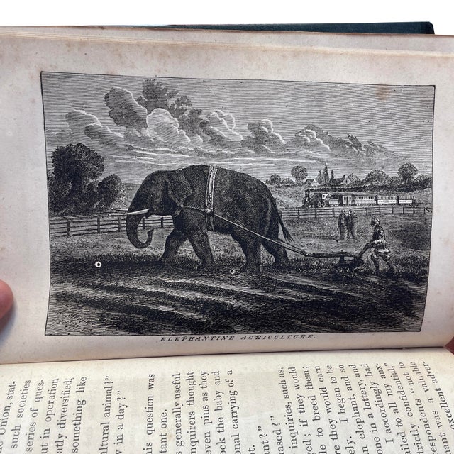 1871 “Author’s Edition” of Pt Barnum’s Illustrated Autobiography. For Sale In New York - Image 6 of 6