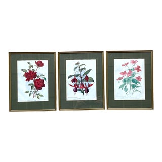 Vintage Botanical Floral Prints in Gilt Frames - Set of 3 For Sale