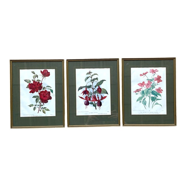 Vintage Botanical Floral Prints in Gilt Frames - Set of 3 For Sale