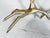 Sculptural Coffee Table in the style of Meret Oppenheim, France, 1980s For Sale - Image 13 of 18