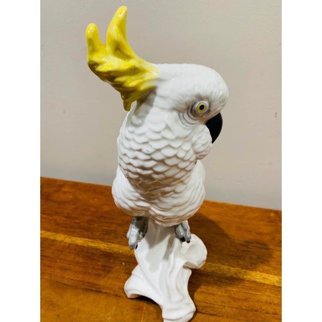 1950s English Staffordshire Ceramic Cockatoo Signed by T.J.Jones For Sale - Image 5 of 8