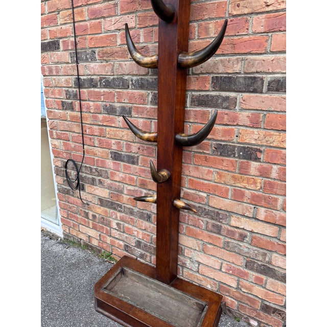 19th Century Bull Horn Hall Tree For Sale - Image 9 of 12