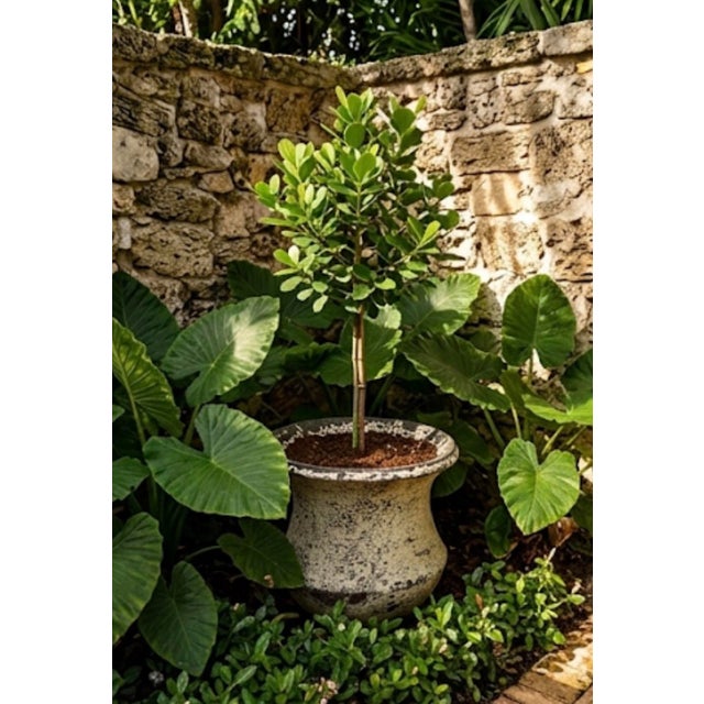 Vintage Faux-Stone Chipped Resin Garden Planter For Sale - Image 9 of 12