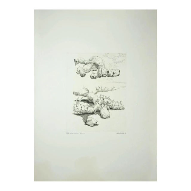 Gino Guida, Roots in the Sea, Etching, 1969 For Sale