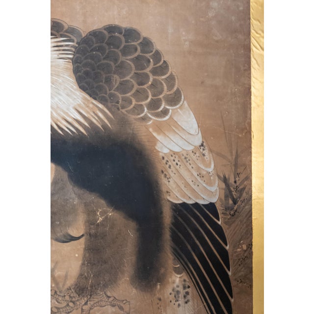 18th Century Japanese Edo Period Kano School Watercolor Painting of a Hawk For Sale - Image 12 of 15