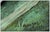Late 20th Century Late 20th Century Romance, Jose Almanzor For Sale - Image 5 of 5