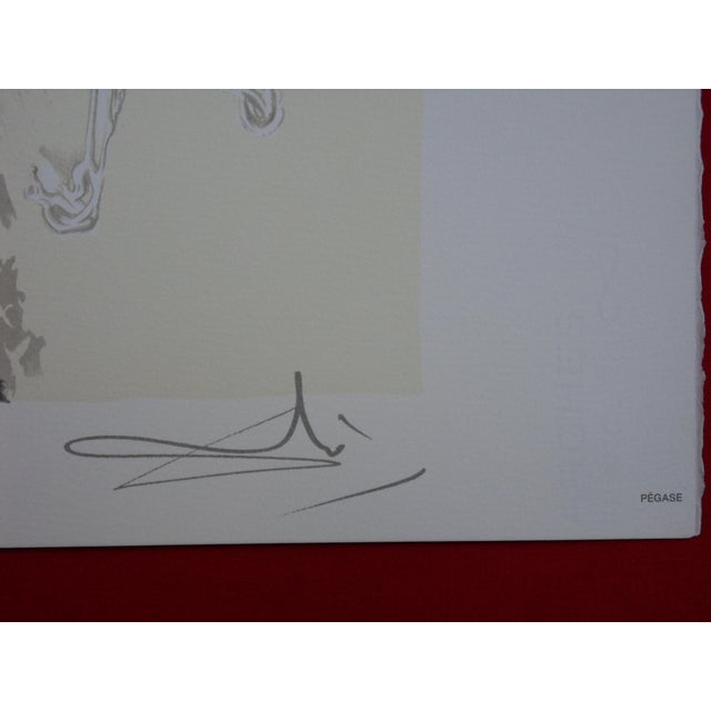 Salvador Dali, The Horses, Pegasus, Signed Lithograph For Sale - Image 4 of 5