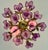 Vintage Hand-Painted Purple Glass Floral Flush Mount Chandelier For Sale - Image 12 of 17
