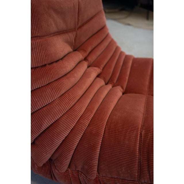 Togo Lounge Chair in Coral Corduroy by Michel Ducaroy for Ligne Roset For Sale - Image 14 of 16