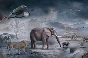The Last Drop of Water by Marcin Owczarek | Photography of a surreal desert landscape with animals