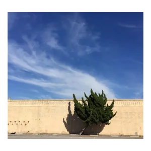 David Scharff "Wind, 2015" Color Photograph Archival Pigment Print