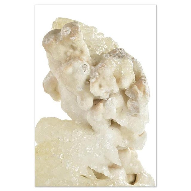 Calcite Concretion on Wooden Base For Sale - Image 6 of 8