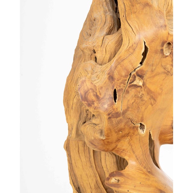 Dale Zarrella Portrait Driftwood Sculpture, 1996 For Sale - Image 14 of 18