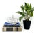 Brilliant, English stainless steel six-slice toast rack by Olde Hall, featuring a hammered base and six sculptural...