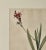 French Botanical Illustration, 19th Century For Sale - Image 4 of 4