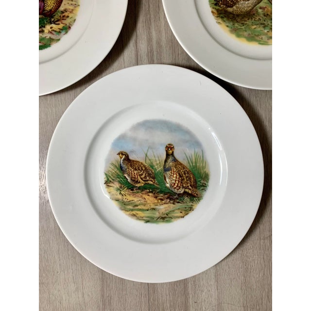 Beautiful trendy wildlife themed porcelain salad plates with four different designs Use it to serve desserts, small bites...