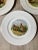 Beautiful trendy wildlife themed porcelain salad plates with four different designs Use it to serve desserts, small bites...