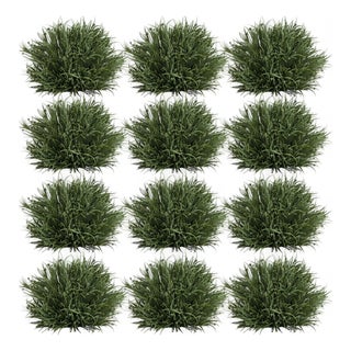 Spring Grass Half Orb (Set of 12) For Sale