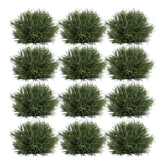 Spring Grass Half Orb (Set of 12) For Sale
