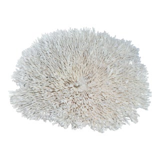 Massive Special Table Coral Specimen on Acrylic Base For Sale