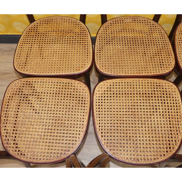 Mid-Century Modern Vintage Bentwood Chairs by Michael Thonet for Thonet, 1960s, Set of 6 For Sale - Image 3 of 13