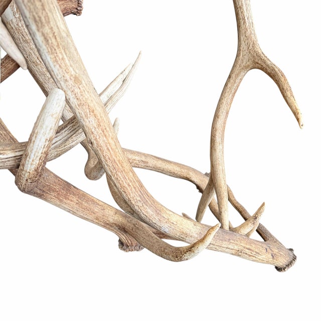 Elk Antler Console Table With Leather Top For Sale - Image 16 of 17