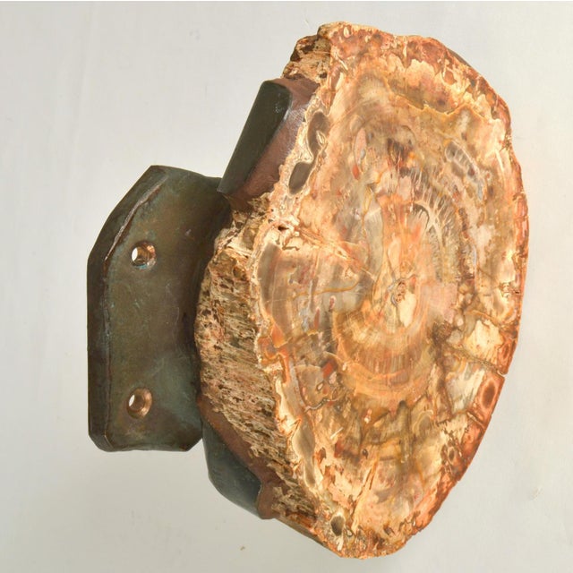 Solid pertrified wood slice push and pull door handle in a refined organic pattern in a range of colors from brown to...