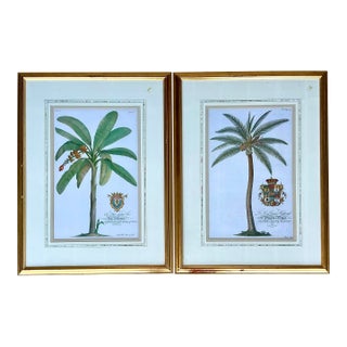Vintage Crested Palm Etchings - A Pair For Sale