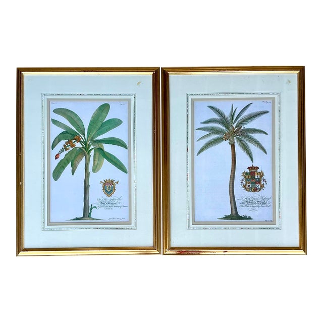 Vintage Crested Palm Etchings - A Pair For Sale