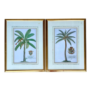 Vintage Crested Palm Etchings - A Pair