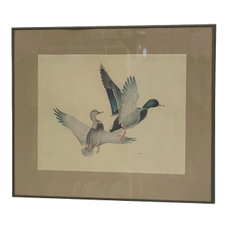 Vintage Framed Waterfowl Bird Print of Flying Ducks, Wildlife Wall Art For Sale