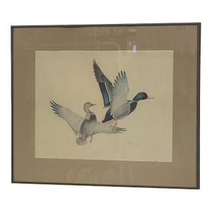Vintage Framed Waterfowl Bird Print of Flying Ducks, Wildlife Wall Art