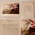 Paper 1950s Audubon Birds of America — Complete Portfolio of 50 Color Prints With Roger Tory Peterson Commentaries, Macmillan For Sale - Image 7 of 14