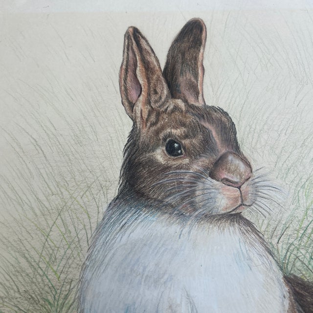 1970’s Original Rabbits in Field Colored Pencil Drawing For Sale In Philadelphia - Image 6 of 7