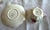 Ceramic Shelley, English Porcelain Spring Flowers Set of 6 Teacups & Saucers For Sale - Image 7 of 15